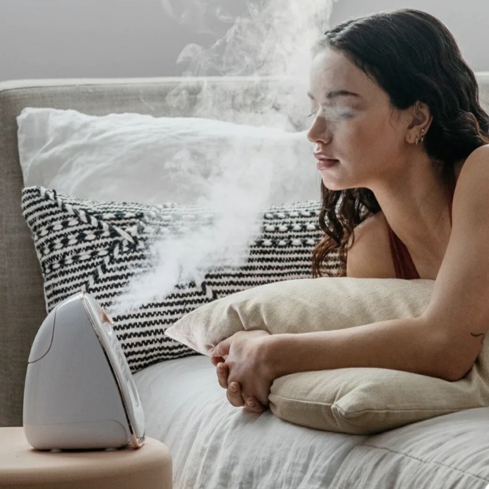 Evina spa facial steamer